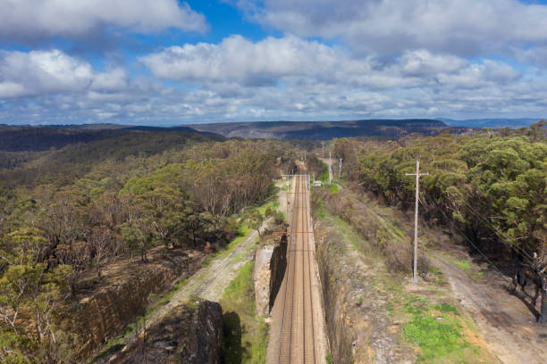 istock A regional railway line running through a forest of trees 1219627122