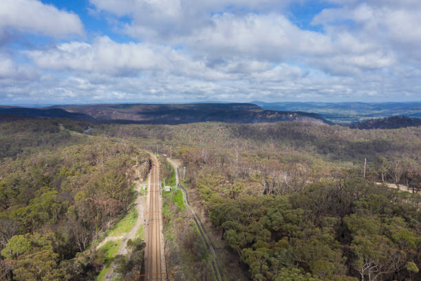 istock A regional railway line running through a forest of trees 1219627134