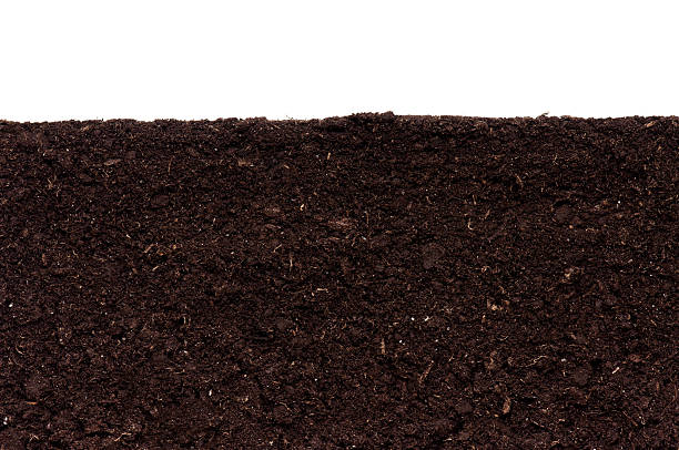 Close-up of soil against white background Close-up of organic soil. Can be used as background. waterless stock pictures, royalty-free photos & images