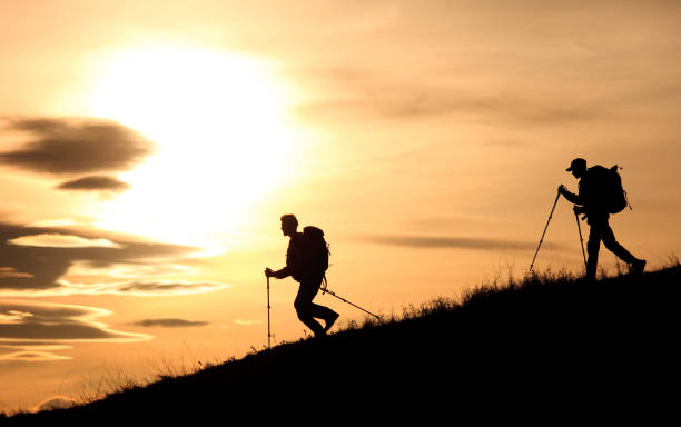 silhouette von zwei jungen wanderern mit rucksäcken und polen absteigenden grassy slope - treking poles stock-fotos und bilder