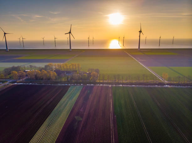 istock Tulip fields in the Netherlands with on the background windmill park in ocean Netherlands, colorful dutch tulips 1219628962