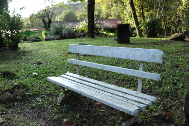 istock Beautiful white colored park bench in Rio de Janeiro 1219630504