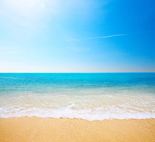 istock beach and tropical sea 121963110