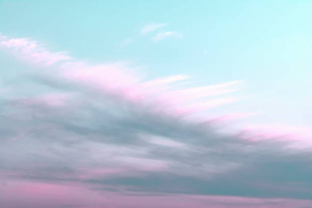 Blue sky with white and pink clouds that form a feather pattern. Concept landscape, abstraction.