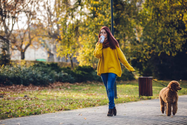 istock Pet owner walking with her dog in a park 1219641116