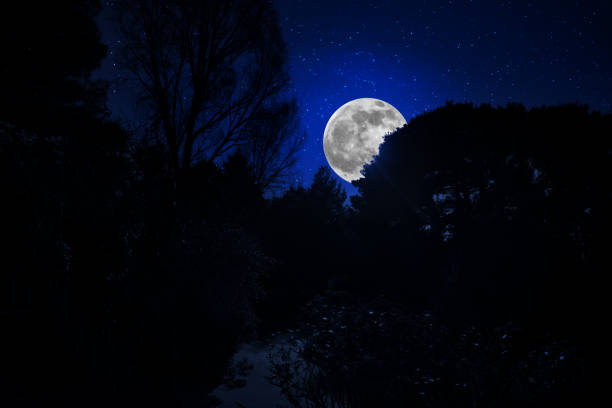 istock Mountain Road through the forest on a full moon night. 1219643107