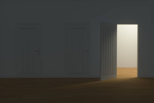 istock Wooden door with white night scene, 3d rendering. 1219643274