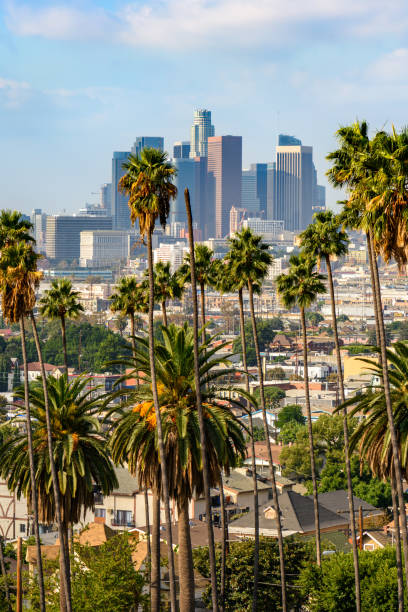 istock Downtown Los Angeles at sunny day 1219646095