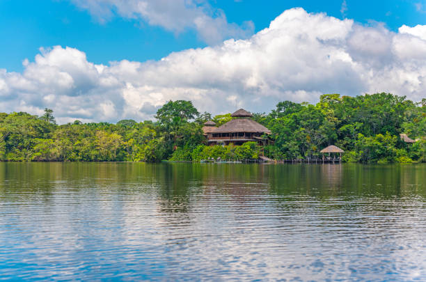 amazon rainforest lodge - iquitos imagens e fotografias de stock