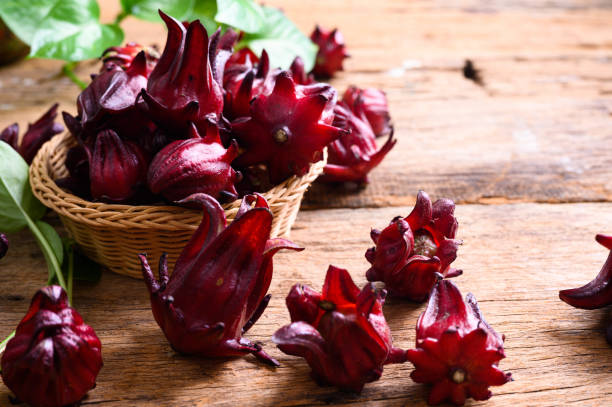 istock Hibiscus sabdariffa or roselle fruits 1219646862