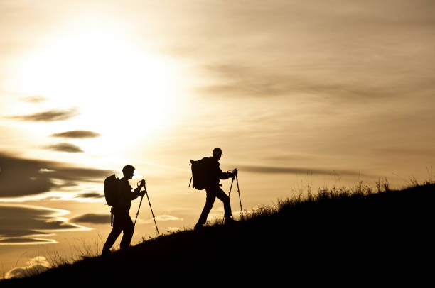 silhouette von zwei jungen wanderern mit rucksäcken und polen, die eine grasbewachsene piste besteigen - treking poles stock-fotos und bilder