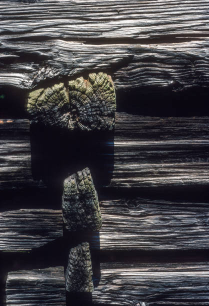 Great Smoky Mountains NP - Log Cabin Corner - 1991