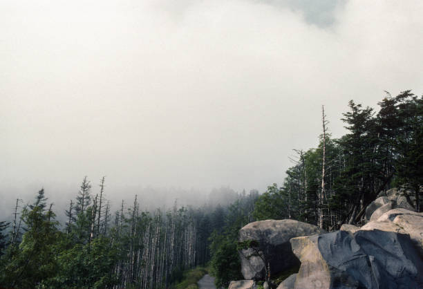 Great Smoky Mountains NP - Clingman's Dome Clouds - 1991