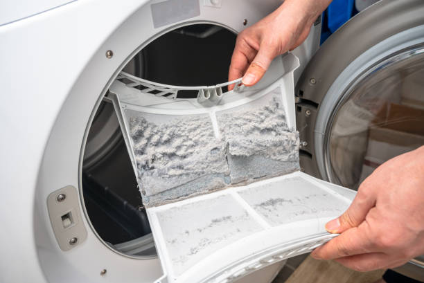 istock Dust and dirt trapped by the clothes dryer filter. 1219650795