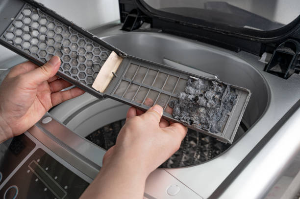 istock Dust and dirt trapped by the washing machine filter. 1219650853