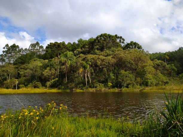 istock Mountain landscape whith lake 1219651776