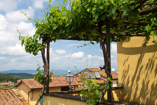 Grape vines over deck in historic Lucignano, Tuscany, Italy