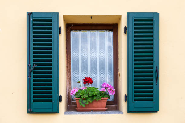 White and pink petunias on a terracotta house wall.