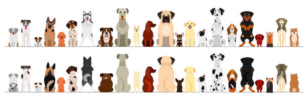 собаки большой набор границы - dog group of animals variation in a row stock illustrations