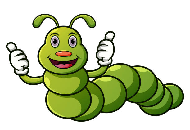 ilustrações, clipart, desenhos animados e ícones de lagarta de desenho animado com polegares para cima - caterpillar white isolated white background