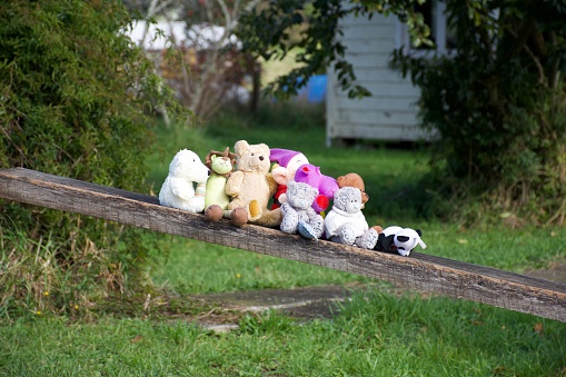 Tasman Region, New Zealand - April 19 2020. Children's Teddy Bears Outside a House  as part of a Socially Distant Bear Hunt during the Coronavirus Covid-19 crisis Lockdown in New Zealand's South Island. Taken in Takaka of the Tasman Region, New Zealand.