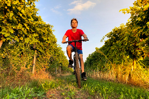 Boy riding her bike through a vineyard.