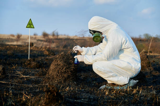 istock Scientist exploring flora and soil at burnt field. 1219673227