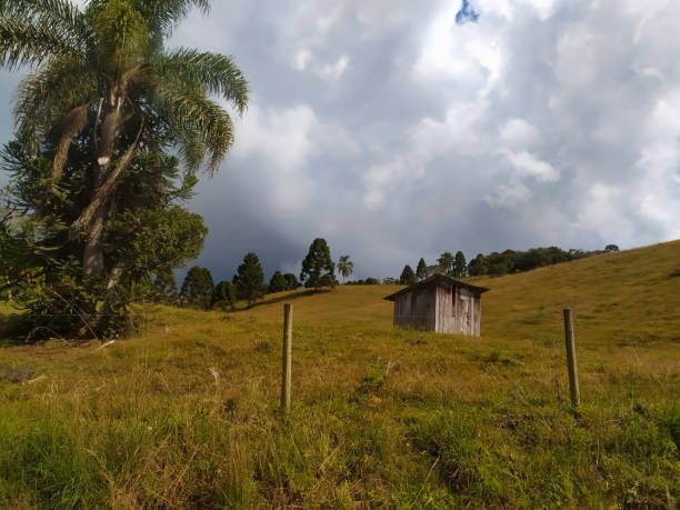 istock Santa Catarina landscapes 1219675348