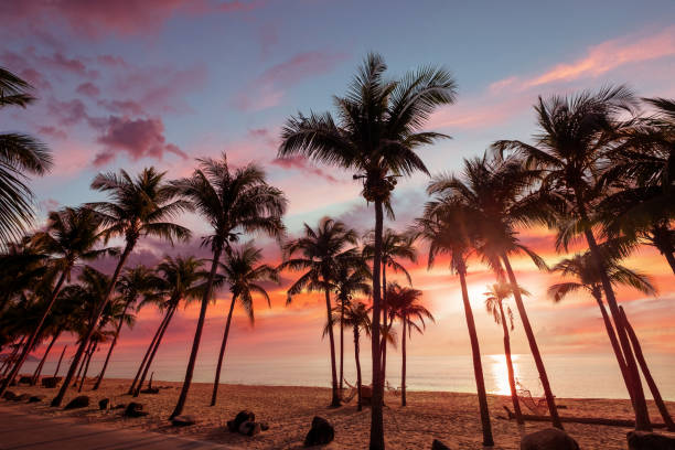 istock Sundown beach scene for travel inspirational 1219675366