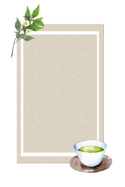 일본 녹차 프레임 - tea crop spring japanese culture tea stock illustrations