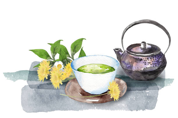 일본 녹차와 민들레 - tea crop spring japanese culture tea stock illustrations