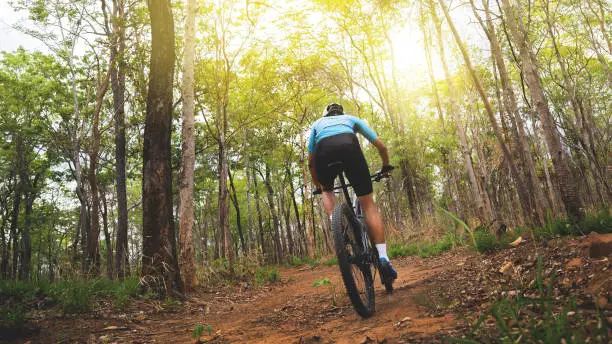 Photo of Mountain biker cyclists training in the forest