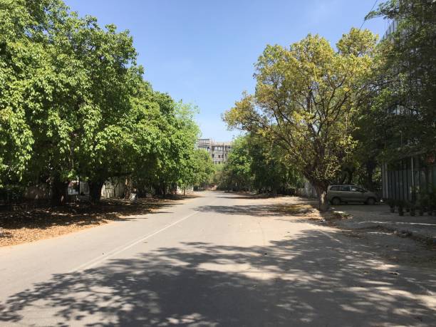 istock Lockdown in New Delhi, India 1219682734