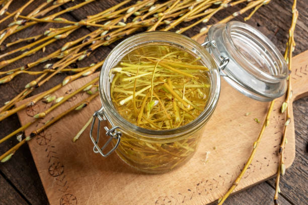 Preparation of tincture from willow bark Preparation of tincture from white willow bark willow tree photos stock pictures, royalty-free photos & images