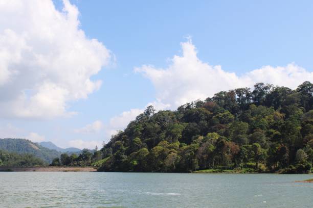 istock Lake scenic landscape view Munnar 1219684701