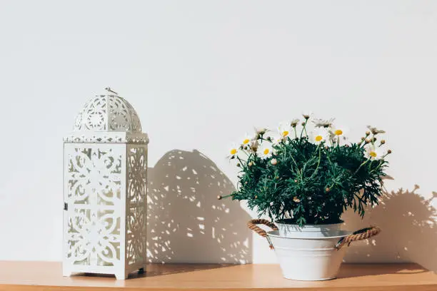 Potted white spring daisies in a rustic small tin tub alongside a fretwork lantern or candle holder on a wooden cabinet indoors