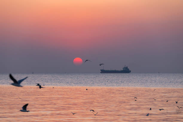 Landscape view  in sunset with seagulls and general cargo ship on background