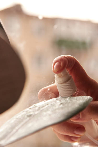 istock Spray water irrigation, care for indoor plants. 1219687765