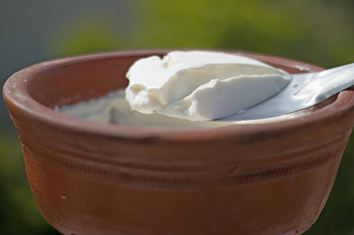 yogurt made at home in a earthen Bowl