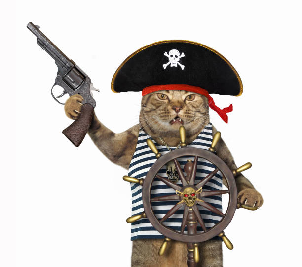 istock Cat pirate at helm of ship 4 1219693026
