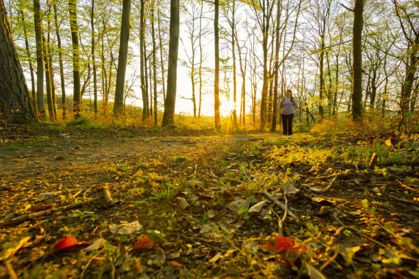 A woman is hiking in the forest during a late afternoon day. She is wearing sport clothes and carries a backpack.