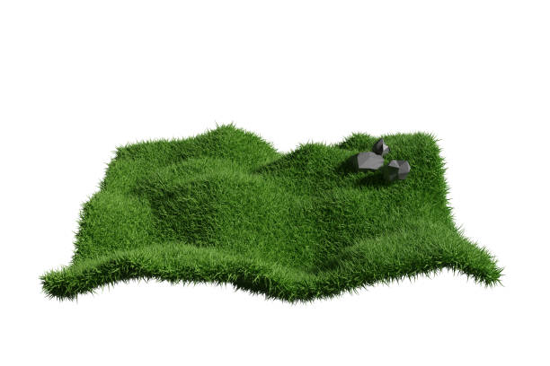 istock grass field landscape, low polygon landscape with grass field isolated on white 1219694388