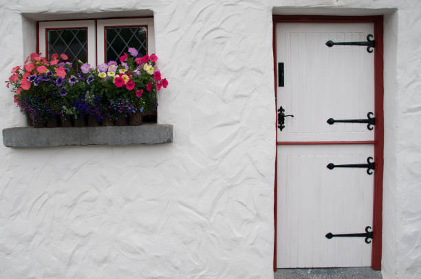 Half door and window box outside a traditional whitewashed Irish cottage, Ireland