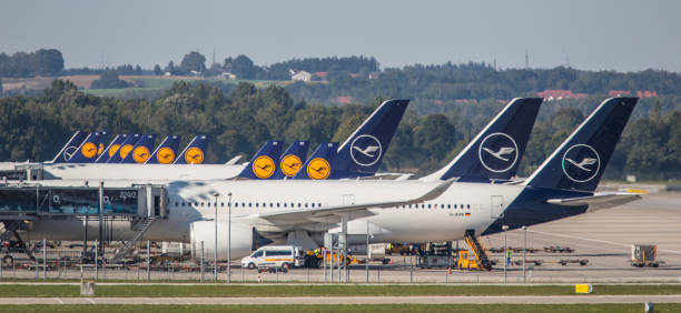 Lufthansa plane at the gate at Munich Airport Munich, Germany - September 15, 2019: A Lufthansa aircraft stands at the finger docks of Munich Airport. The planes are all from Airbus. From Airbus A319 to Airbus A350. munich airport stock pictures, royalty-free photos & images