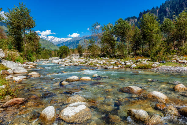 istock Beas River in Kullu Valley, Himachal Pradesh, India 1219698239