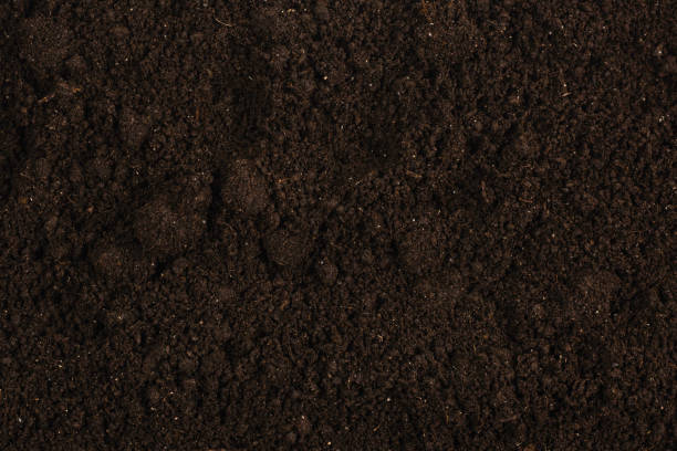 istock Black land for plant background. 1219701399