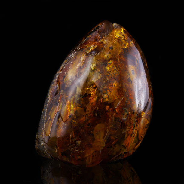 istock A piece amber on a black background. 1219702826