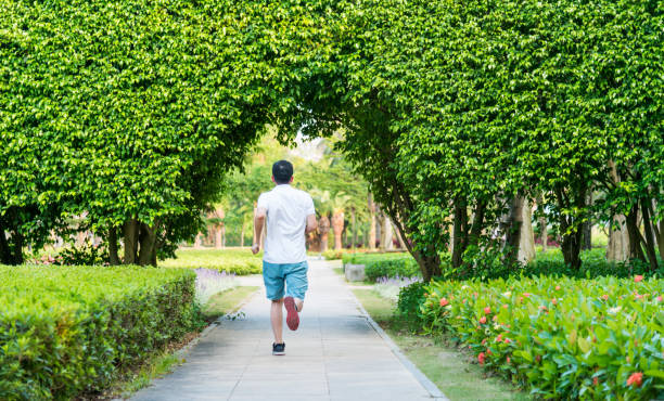 istock Man running through green natural tunnel 1219703841