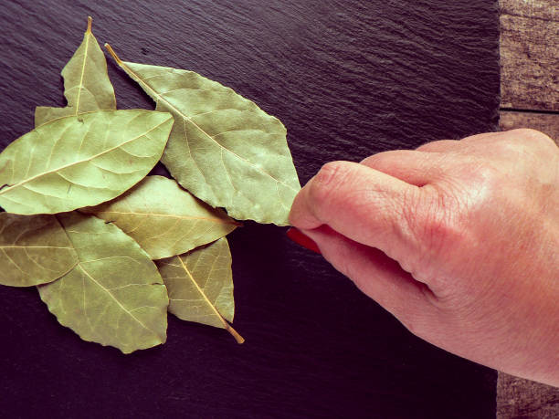 istock Fresh bay leaves on black background 1219704093