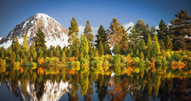 Digitally generated idyllic early autumn landscape with colorful trees reflecting in the crystal clear water of the lake.The scene was rendered with photorealistic shaders and lighting in Corona Renderer 5 for Autodesk® 3ds Max 2020 with some post-production added.